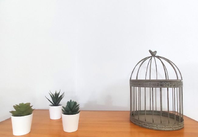 Apartment in Arrecife - La Chalana, two bedroom apartment in El Charco de San Ginés  Apartment in Arrecife - La Chalana, two bedroom apartment in El Charco de San Ginés