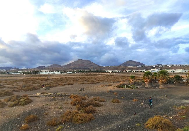 Apartment in Playa Honda - Ambar | Apartment in Lanzarote - Canary Islands - Spain Apartment in Playa Honda - Ambar | Apartment in Lanzarote - Canary Islands - Spain