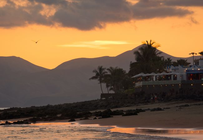 Apartment in Puerto del Carmen - Austria | Apartment in Lanzarote - Canary Islands - Spain Apartment in Puerto del Carmen - Austria | Apartment in Lanzarote - Canary Islands - Spain