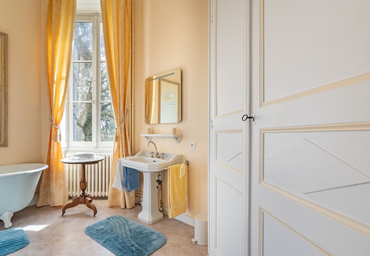Country house in Dangeul - Château de Dangeul - Pittoresque - 14p - Rêve au Mans