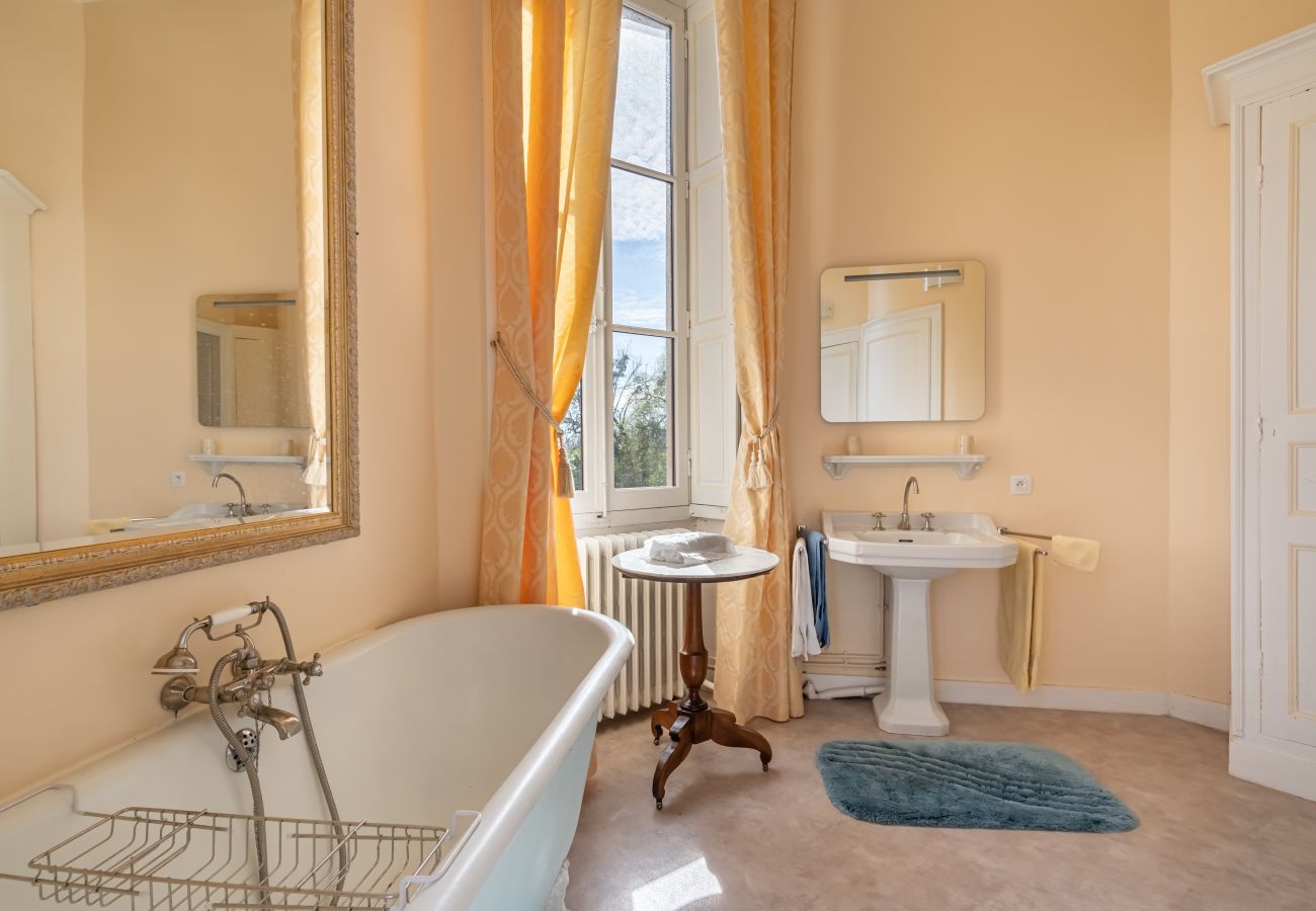 Country house in Dangeul - Château de Dangeul - Pittoresque - 14p - Rêve au Mans