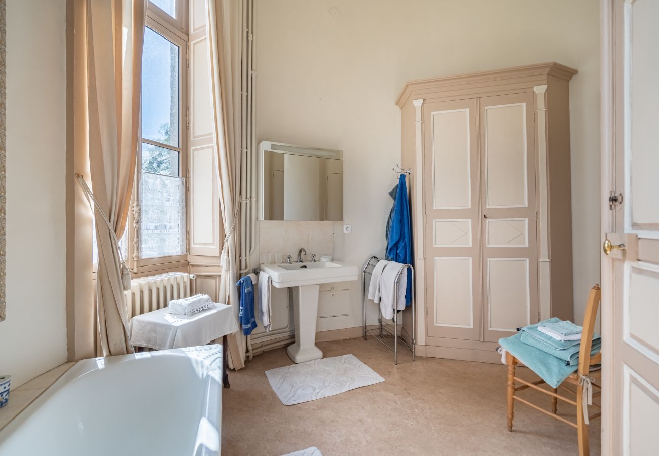 Country house in Dangeul - Château de Dangeul - Pittoresque - 14p - Rêve au Mans