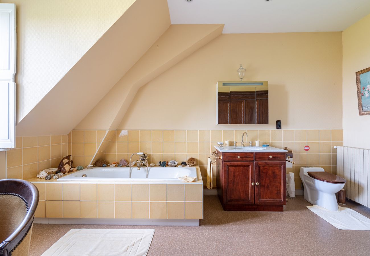 Country house in Dangeul - Château de Dangeul - Pittoresque - 14p - Rêve au Mans