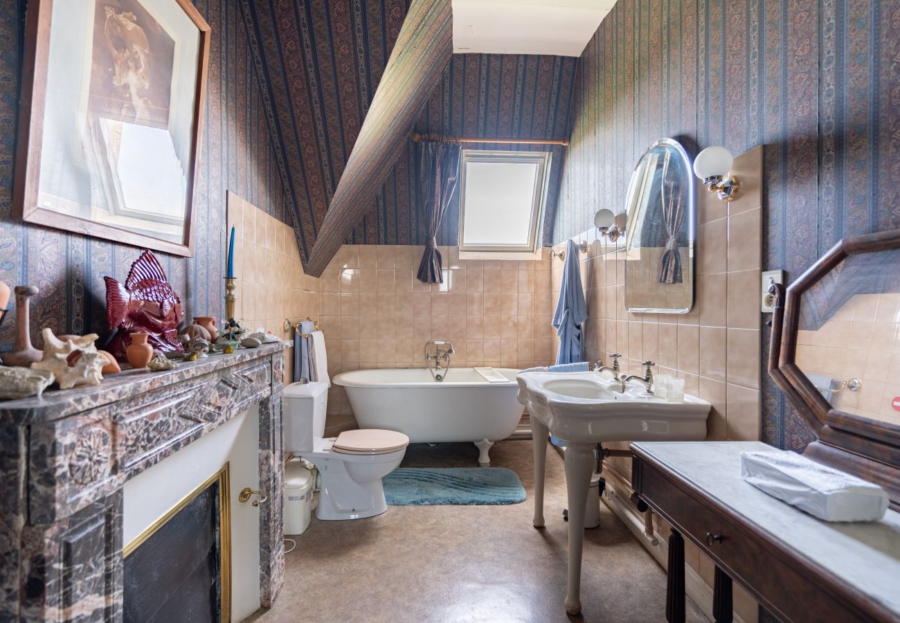 Country house in Dangeul - Château de Dangeul - Pittoresque - 14p - Rêve au Mans