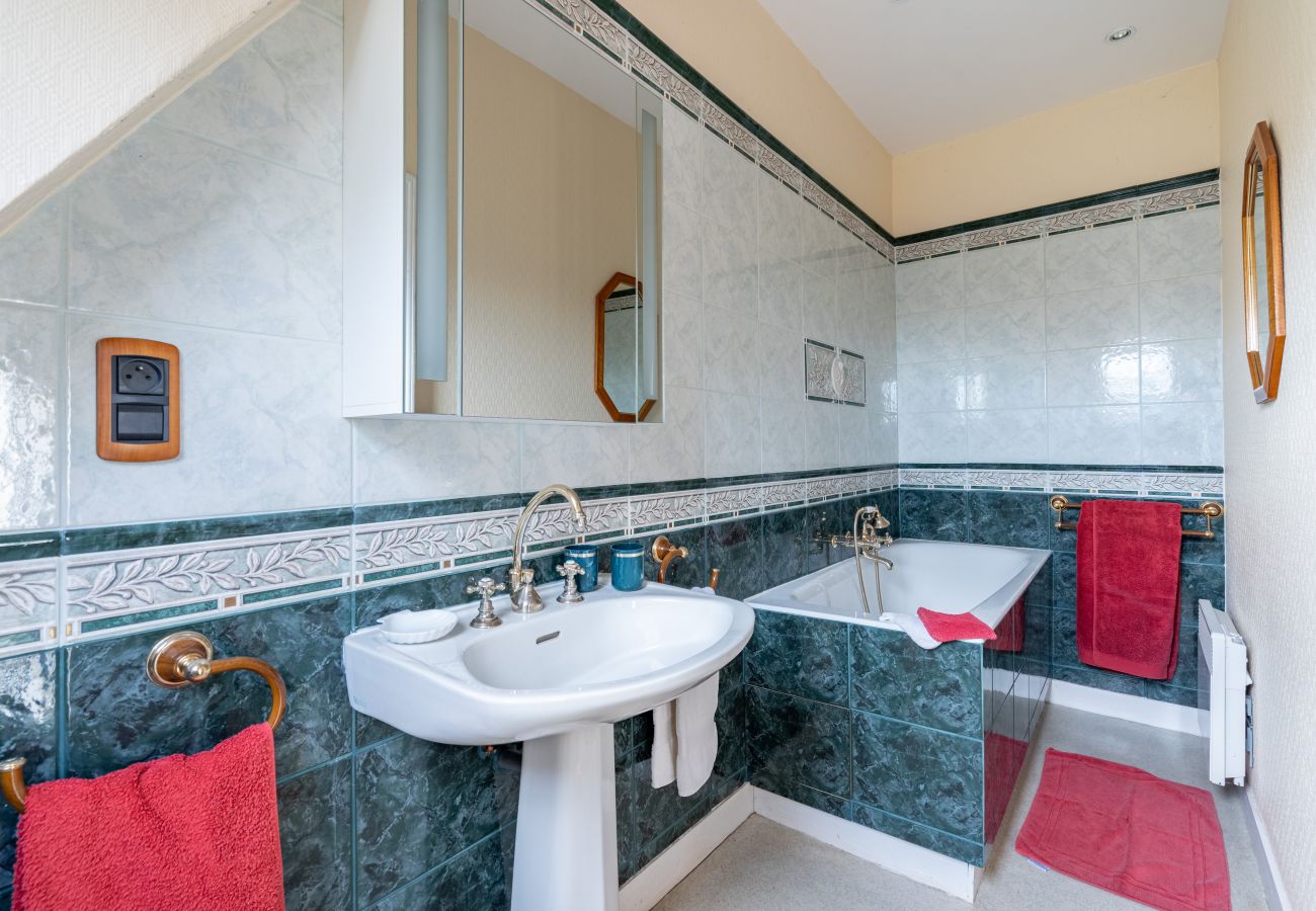 Country house in Dangeul - Château de Dangeul - Pittoresque - 14p - Rêve au Mans