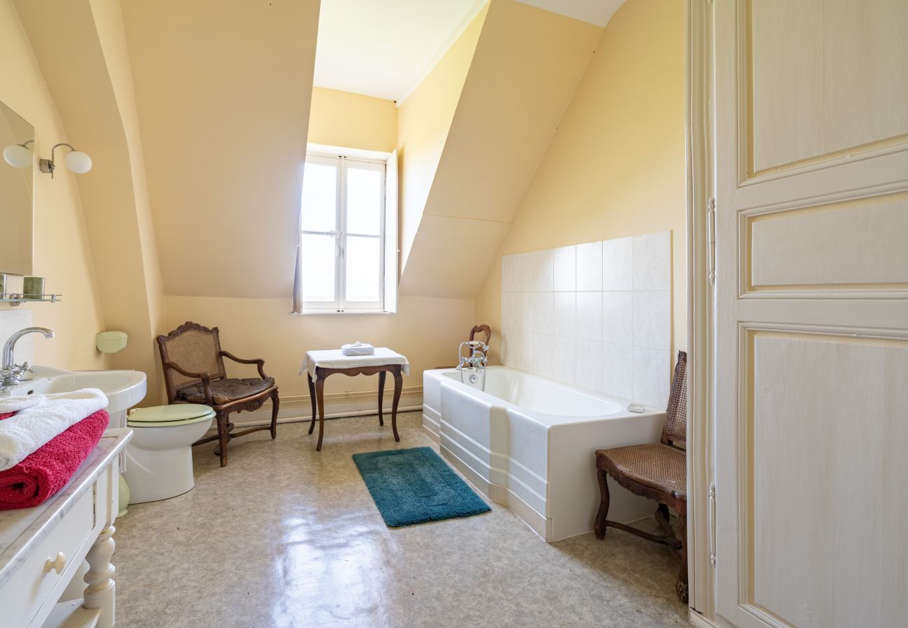 Country house in Dangeul - Château de Dangeul - Pittoresque - 14p - Rêve au Mans