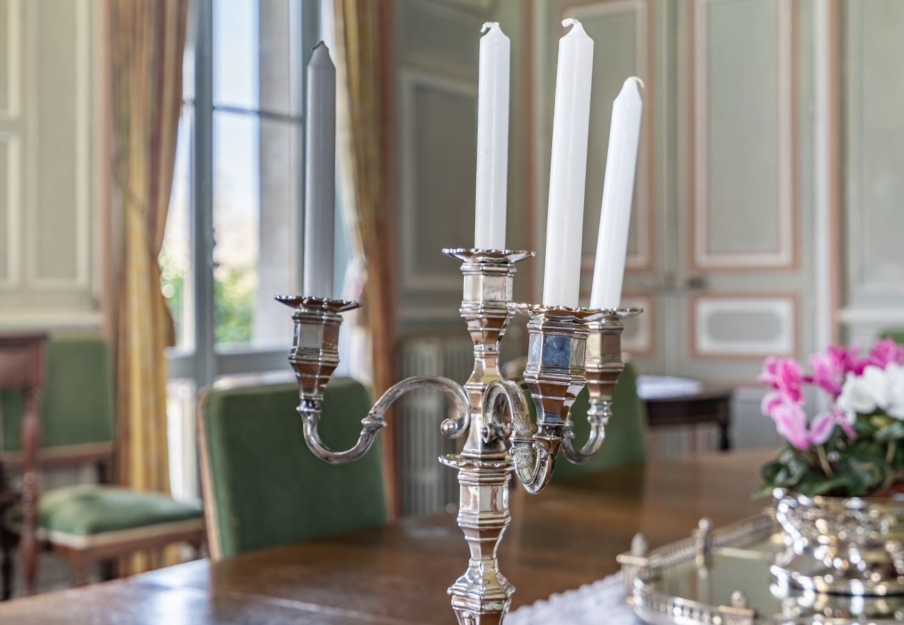 Country house in Dangeul - Château de Dangeul - Pittoresque - 14p - Rêve au Mans