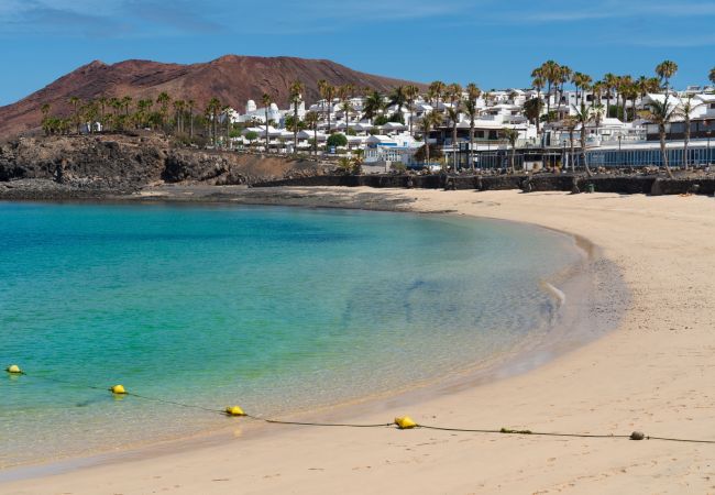 Studio in Playa Blanca -  Studio in Playa Blanca -