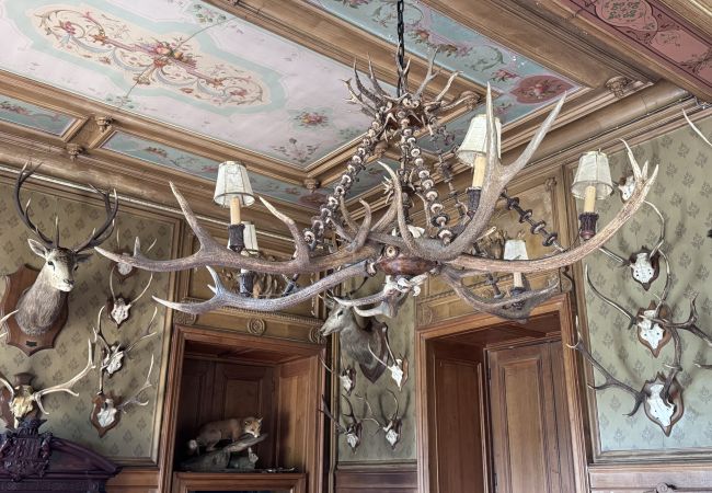 Country house in Maigné - Château de Resteau - Haut de Gamme - 15 pers - Rêve au Mans Country house in Maigné - Château de Resteau - Haut de Gamme - 15 pers - Rêve au Mans