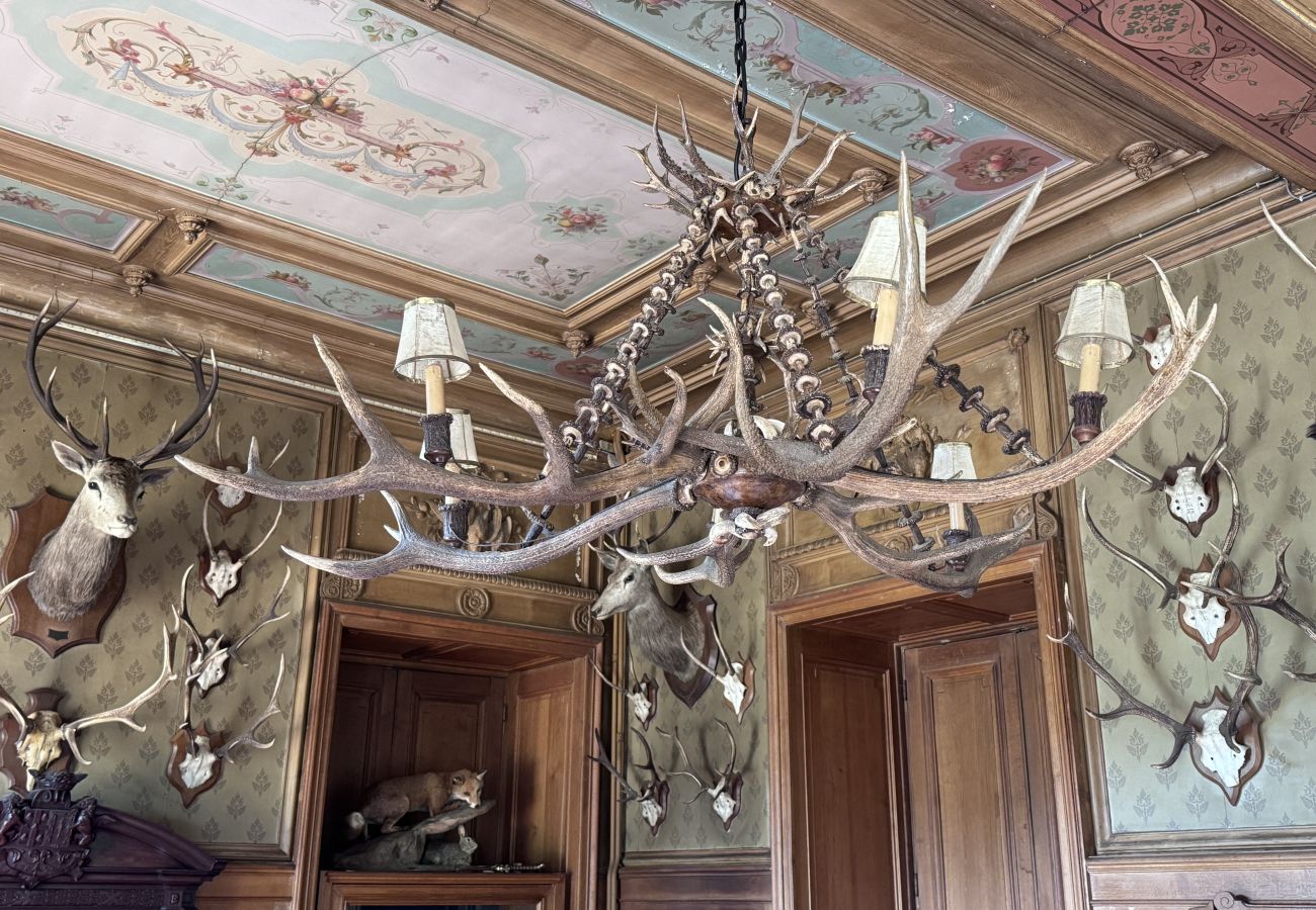 Country house in Maigné - Château de Resteau - Haut de Gamme - 15 pers - Rêve au Mans