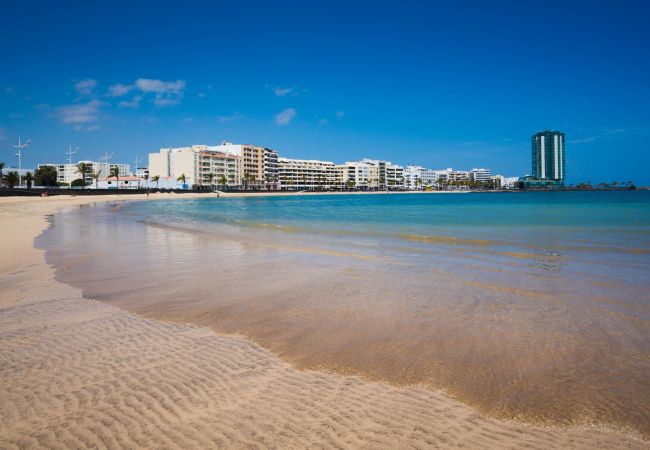 Apartment in Arrecife - Rosa Reducto 2 Apartment in Arrecife - Rosa Reducto 2