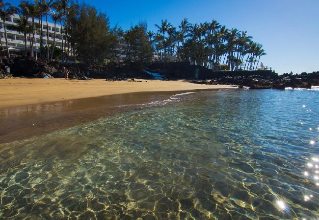 Studio à Puerto del Carmen - ZOE ; deux lits, TV, WIFI, cuisine équipée, salle de bain, piscine et solarium  Studio à Puerto del Carmen - ZOE ; deux lits, TV, WIFI, cuisine équipée, salle de bain, piscine et solarium