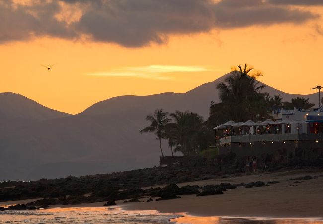 Appartement à Puerto del Carmen - Apartament El Tiemple Pto del Carmen  Appartement à Puerto del Carmen - Apartament El Tiemple Pto del Carmen