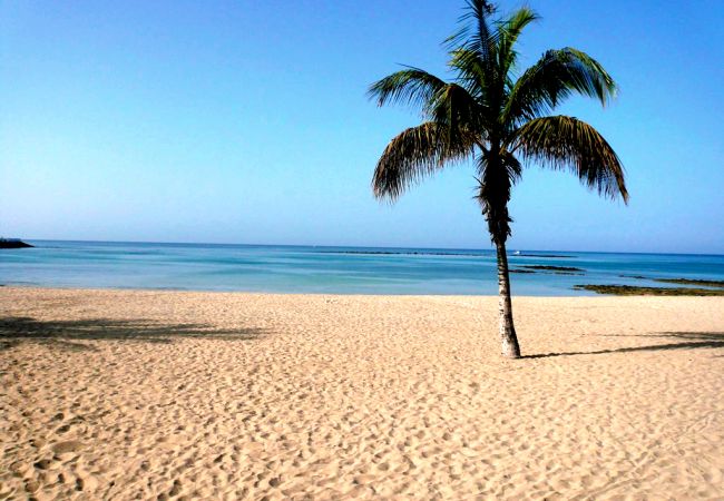 Appartement à Arrecife - Casa Fife | Immense Duplex face à la mer Appartement à Arrecife - Casa Fife | Immense Duplex face à la mer