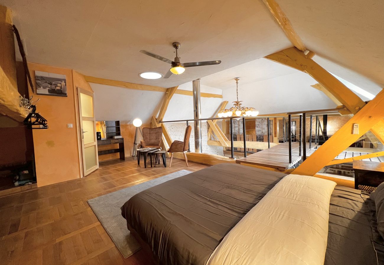 Maison à Thorigné-sur-Dué - L'Industriel - Loft - 6 pers. - Rêve au Mans