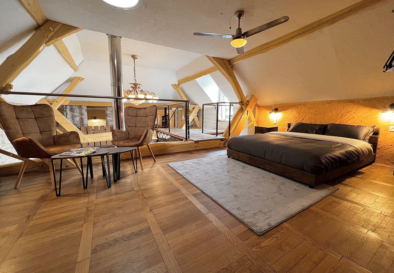 Maison à Thorigné-sur-Dué - L'Industriel - Loft - 6 pers. - Rêve au Mans