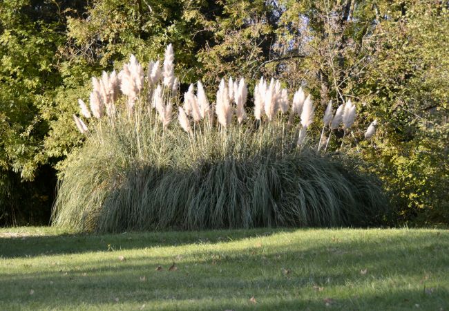 Domaine à Bazouges-sur-le-Loir - Château de Marigné - 15 pers. - Rêve au Mans Domaine à Bazouges-sur-le-Loir - Château de Marigné - 15 pers. - Rêve au Mans