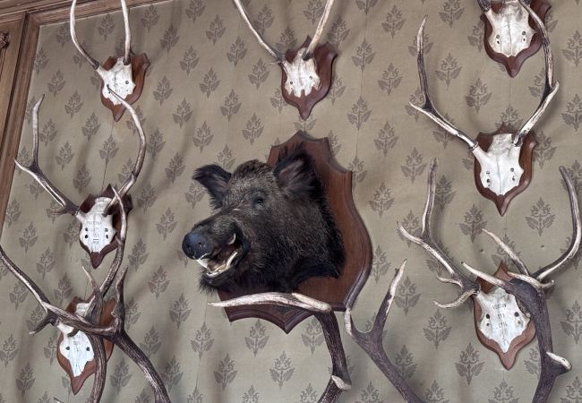 Domaine à Maigné - Château de Resteau - Haut de Gamme - 15 pers - Rêve au Mans Domaine à Maigné - Château de Resteau - Haut de Gamme - 15 pers - Rêve au Mans