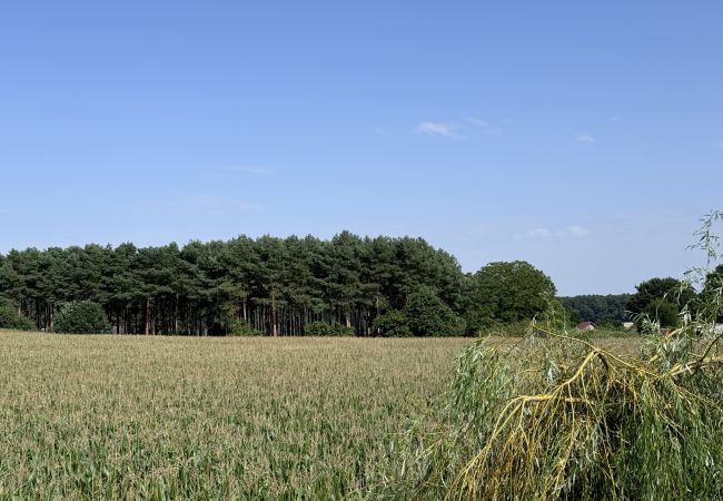 Maison à Saint-Mars-d´Outillé - Le QG des Bolides - 12 pers - Circuit - Rêve au Mans Maison à Saint-Mars-d´Outillé - Le QG des Bolides - 12 pers - Circuit - Rêve au Mans